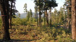 photo thumbnail #13