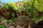 photo thumbnail #6