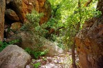 photo thumbnail #8