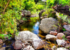 photo thumbnail #13