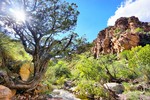 photo thumbnail #14