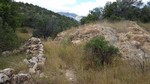 photo thumbnail #8
