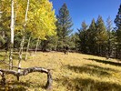 photo thumbnail #4