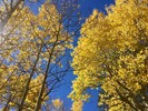 photo thumbnail #8