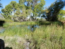 photo thumbnail #8