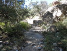 photo thumbnail #14