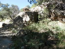 photo thumbnail #15