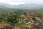 photo thumbnail #14