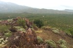 photo thumbnail #15