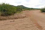 photo thumbnail #1