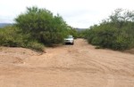 photo thumbnail #2