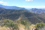 photo thumbnail #15