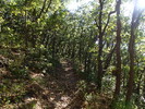 photo thumbnail #10