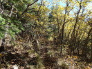 photo thumbnail #11