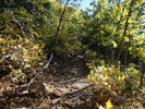 photo thumbnail #12