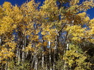 photo thumbnail #13