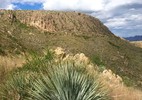 photo thumbnail #14