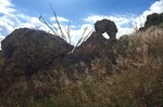 photo thumbnail #15