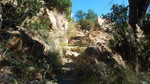 photo thumbnail #15