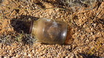 photo thumbnail #11