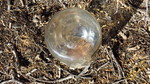 photo thumbnail #12
