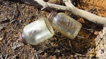 photo thumbnail #13