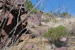 photo thumbnail #2