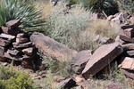 photo thumbnail #14