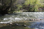 photo thumbnail #8