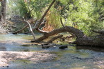 photo thumbnail #10