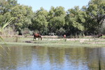 photo thumbnail #12