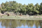 photo thumbnail #14