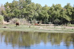 photo thumbnail #15