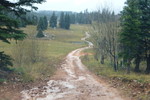 photo thumbnail #2