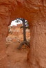 photo thumbnail #14