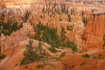 photo thumbnail #15