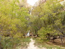 photo thumbnail #7