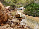 photo thumbnail #9
