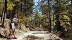photo thumbnail #2