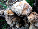 photo thumbnail #15