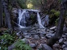 photo thumbnail #7