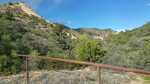 photo thumbnail #10