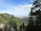 photo thumbnail #1