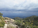 photo thumbnail #12