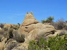 photo thumbnail #1