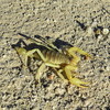 photo thumbnail #3