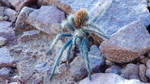 photo thumbnail #1