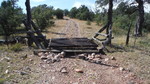 photo thumbnail #6