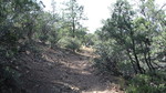 photo thumbnail #11