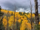 photo thumbnail #2